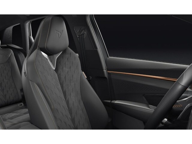 Cupra Terramar 2.0 TSI