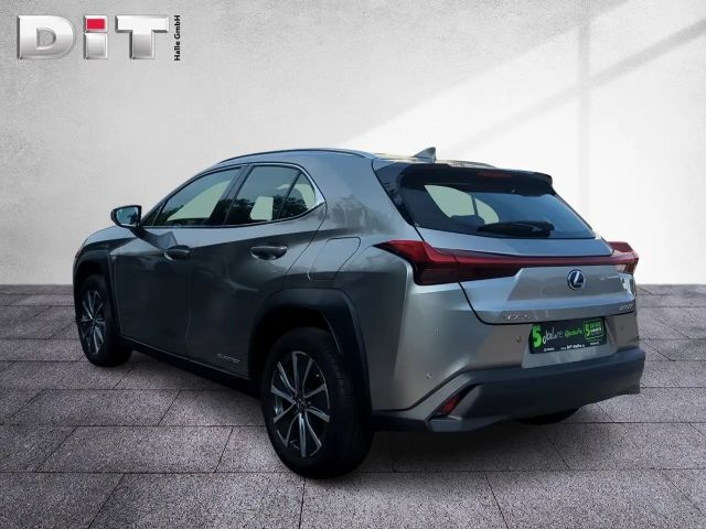 Lexus UX Basis Klima Kamera Sitzhzg Tempomat