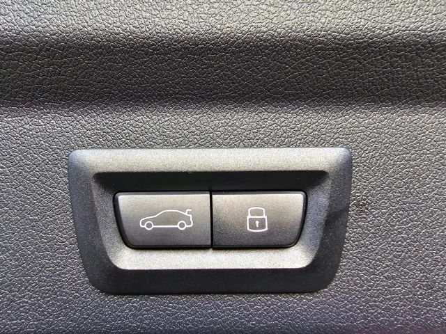 BMW X2 DCT sDrive20i