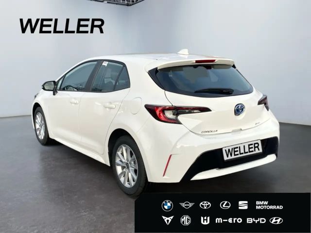 Toyota Corolla Business