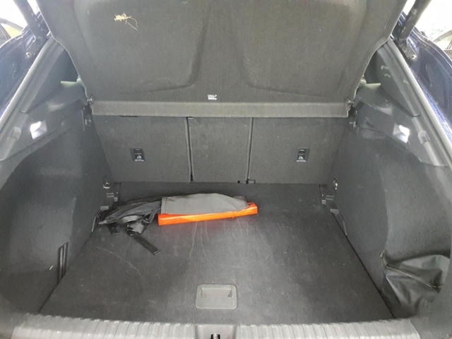 Cupra Terramar 1.5 eTSI