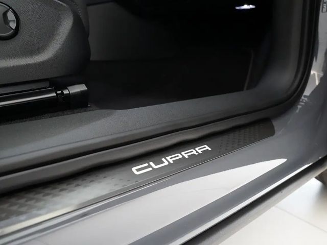 Cupra Terramar 2.0 TSI