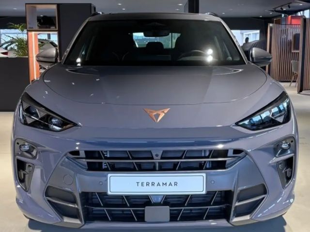 Cupra Terramar VZ
