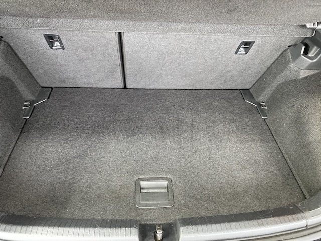 Volkswagen Polo 2.0 TSI GTI