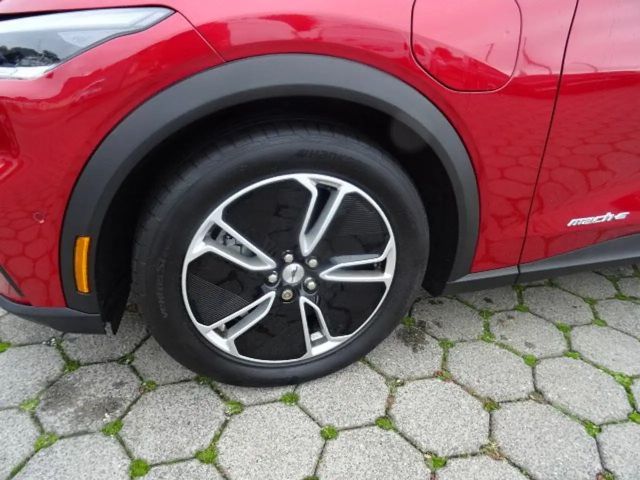 Ford Mustang Mach-E Mustang Mach-E Basis 269PS +360 Grad Kamera