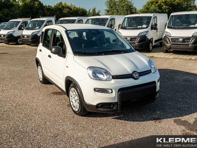Fiat Panda Panda Hybrid  1.0 GSE 51kw (70PS)