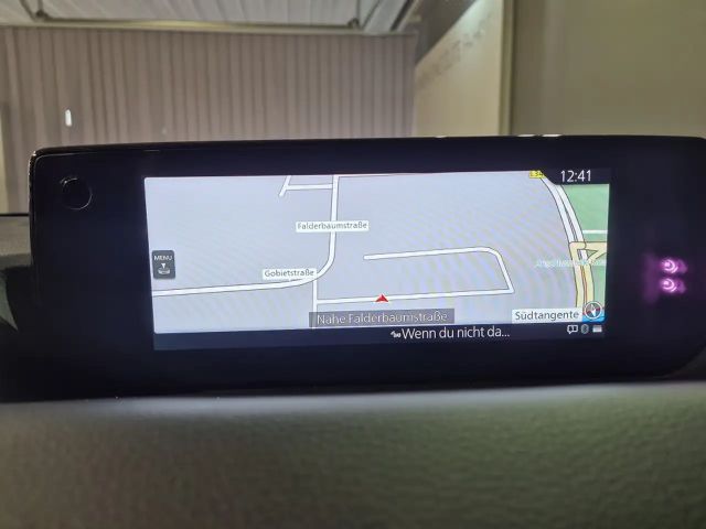 Mazda MX-30 R-EV Edition R/Navi/Glasdach/360 Grad Cam/Matrix-L