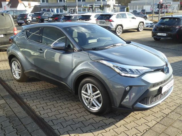 Toyota C-HR Team D