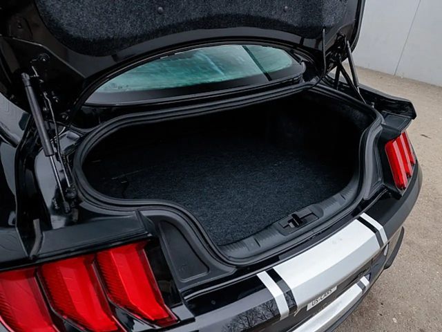 Ford Mustang Fastback GT 5.0 V8 RWD Shelby