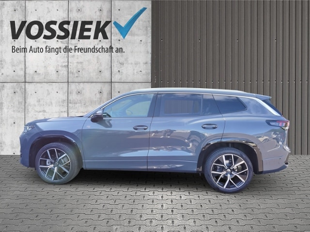 Volkswagen Tayron 2.0 TDI 4Motion BMT DSG