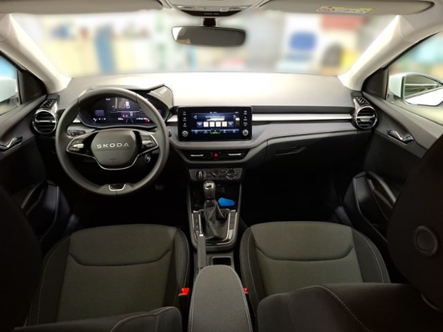 Skoda Fabia 1,0 LED PDC SHZ ALU RFK SMART-L