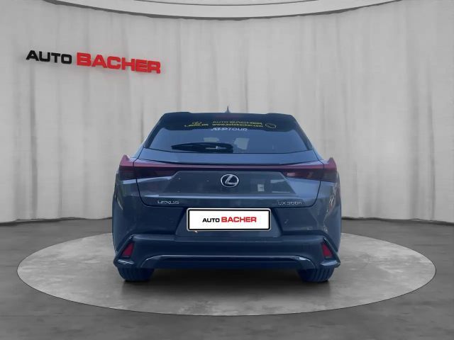 Lexus UX F Sport Sport