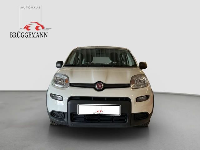 Fiat Panda 1,0 Hybrid  Allwetterreifen/Klima/DAB