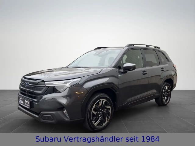 Subaru Forester AWD Exclusive