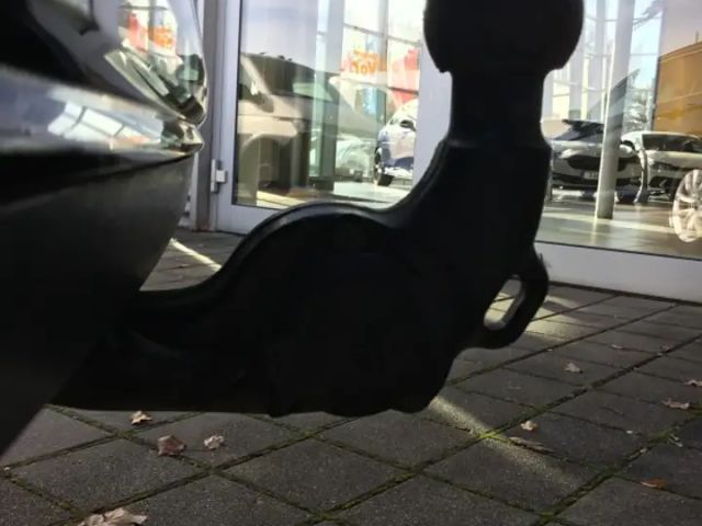 Volkswagen Passat Business Variant