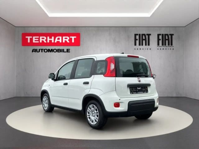 Fiat Panda 1.0 Mild Hybrid/PDC/Start&Stopp/Nebelscheinwerfer