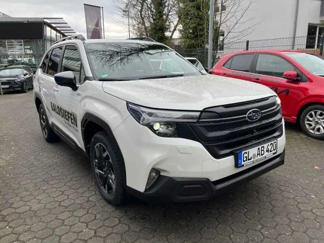 Subaru Forester Exclusive