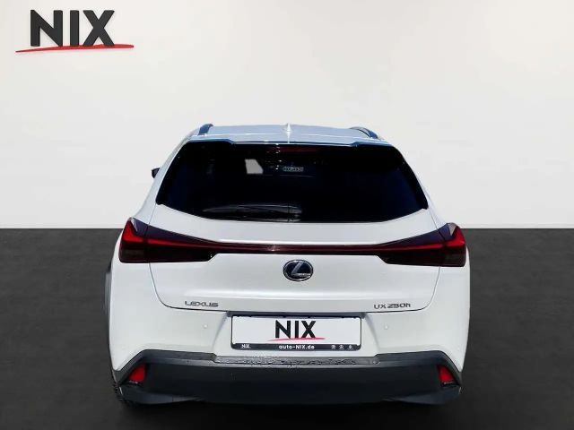 Lexus UX 250h Style Edition