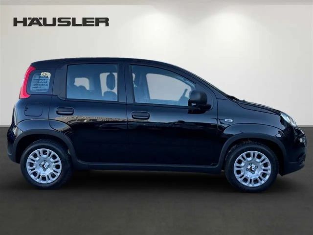 Fiat Panda 1.0 Hybrid GSE, PDC, Klima, Bluetooth, Kamera,