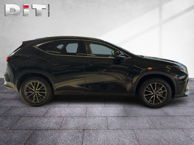 Lexus NX Executive Line