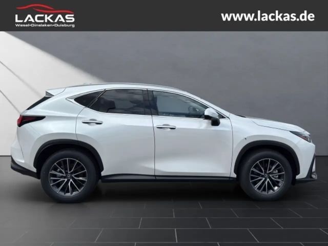 Lexus NX Executive Line
