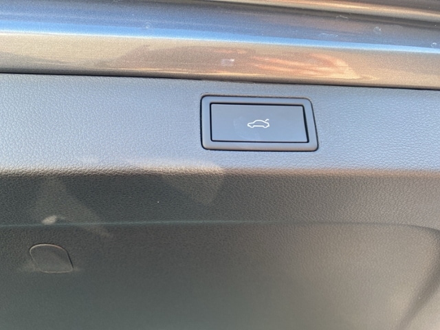 Skoda Kamiq 1.0 TSI Monte Carlo