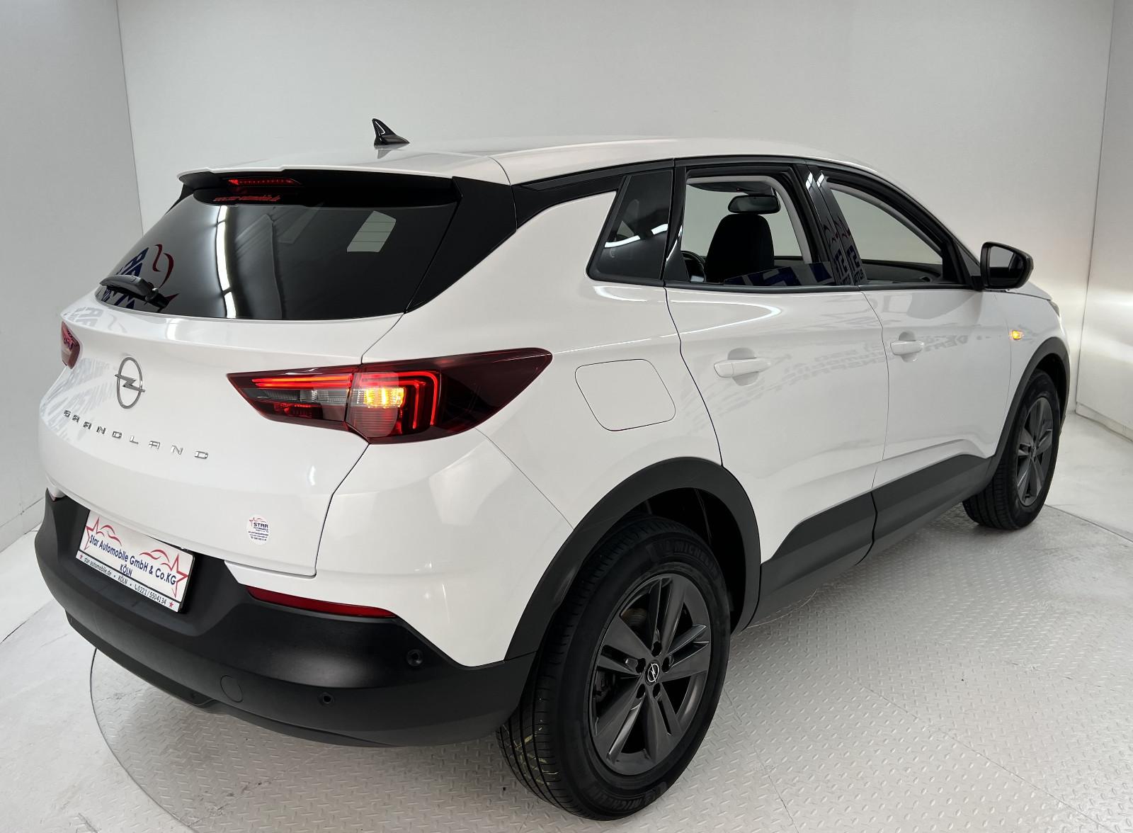 Opel Grandland X Grandland X Busi. Ed.*1,2-96kW*NAVI*SH*TEMP*EU6d