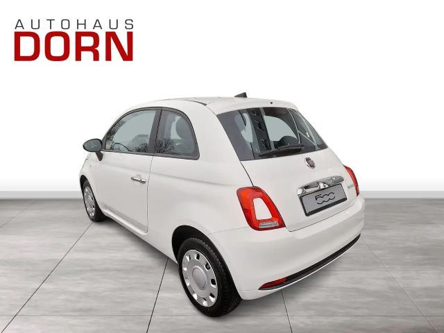 Fiat 500 Cult