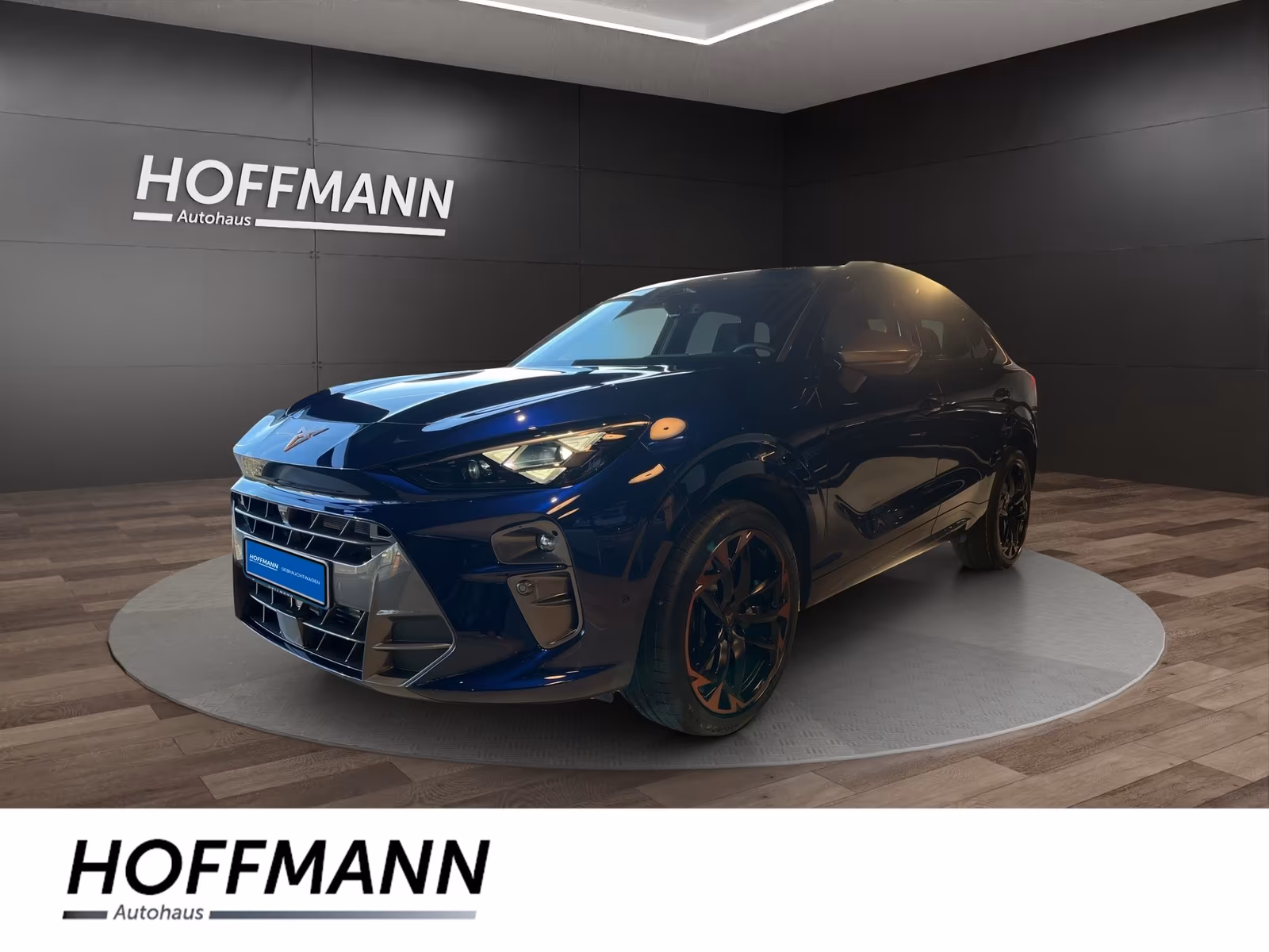 Cupra Terramar 2.0 TSI VZ