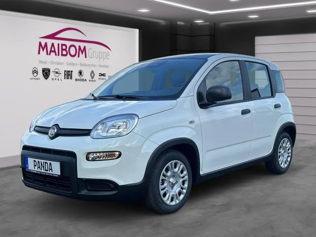 Fiat Panda Pandina 1.0 GSE