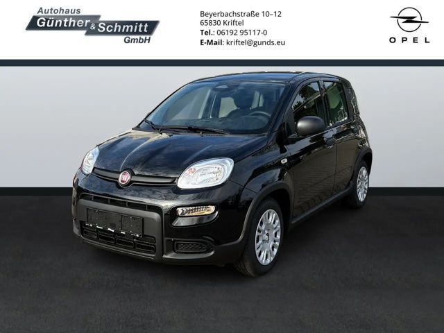 Fiat Panda 1.0 Pandina