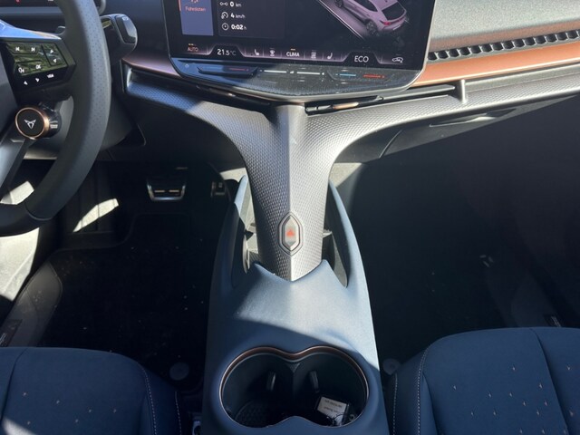 Cupra Tavascan Endurance