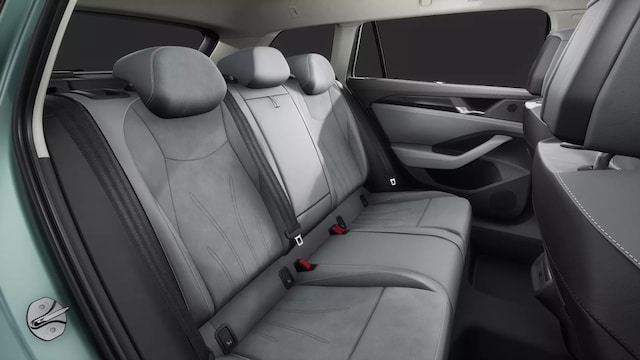 Volkswagen Passat 2.0 TDI Business DSG Variant