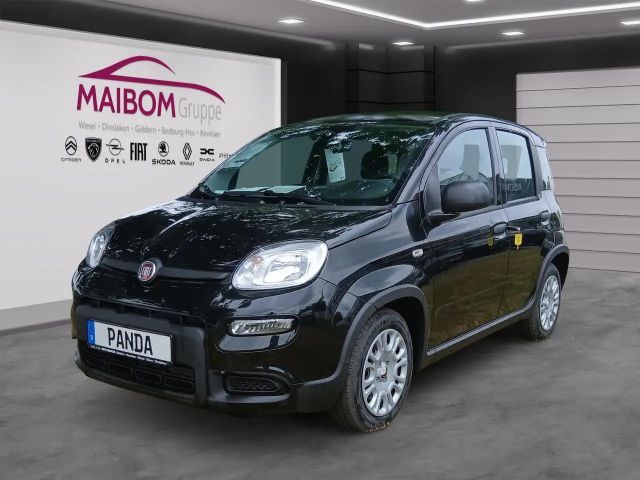 Fiat Panda Pandina 1.0 GSE