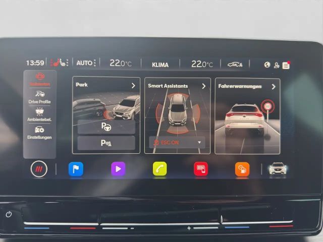 Cupra Formentor 2.0 TDI 4D LM19 PANO MATT BEATS STANDH