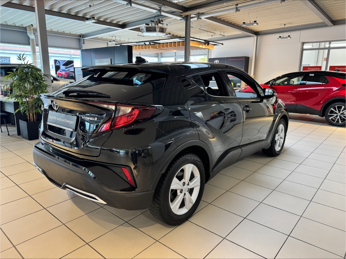 Toyota C-HR 5-deurs Basis