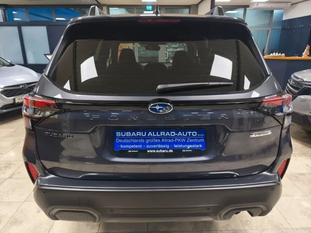 Subaru Forester Exclusive