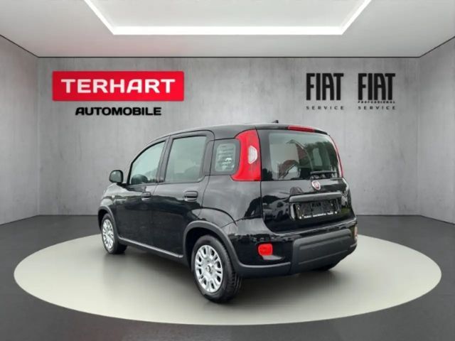 Fiat Panda /Pandina 1.0 Mild Hybrid/PDC/Start&Stopp