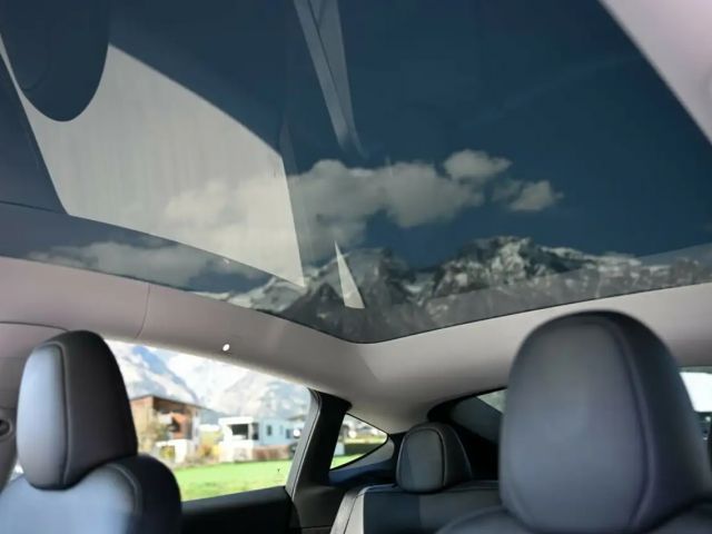 Tesla Model Y AWD Performance