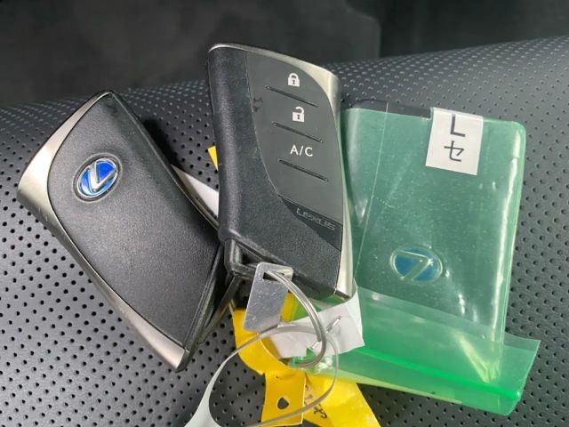 Lexus UX *Bi-LED*Leder*4x SHZ*el Sitze*Kamera*ACC*