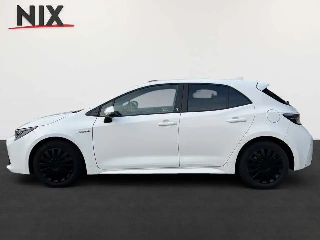 Toyota Corolla Hatchback Team D