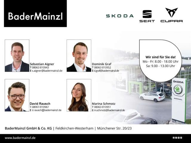 Cupra Terramar 2.0 TSI VZ