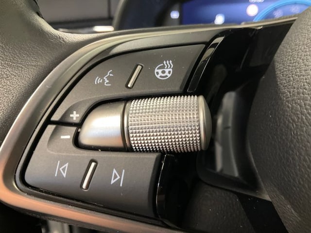 Skoda Kamiq el. Heckkl. RFK SHZ ACC LED