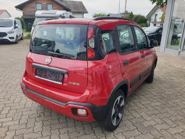Fiat Panda RED