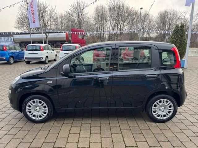 Fiat Panda MY25 1.0 GSE *5-Sitzer*GRA* PDC*Bluet.*