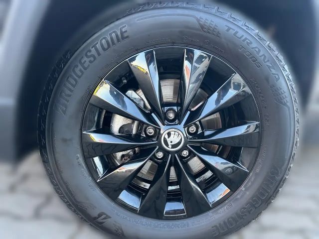 Skoda Karoq Selection