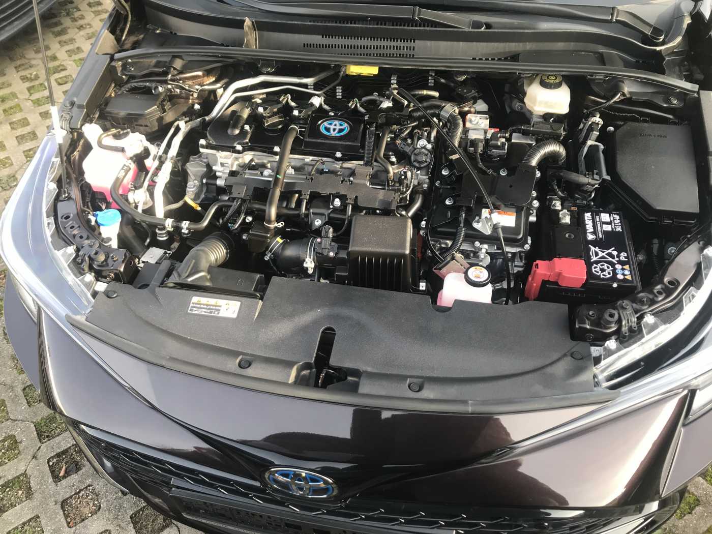 Toyota Corolla 5-deurs Team D Technik