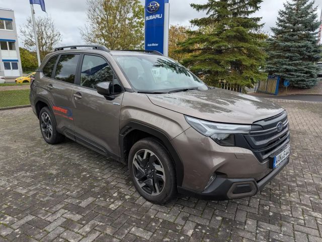 Subaru Forester Exclusive