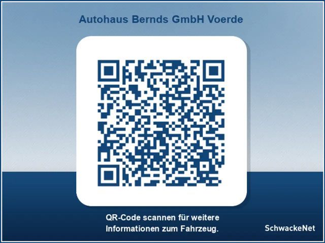 Ford Mustang Mach-E NAVI 360° + R-KAMERA PARK-PILOT KLIMAAUTO. ISOFIX