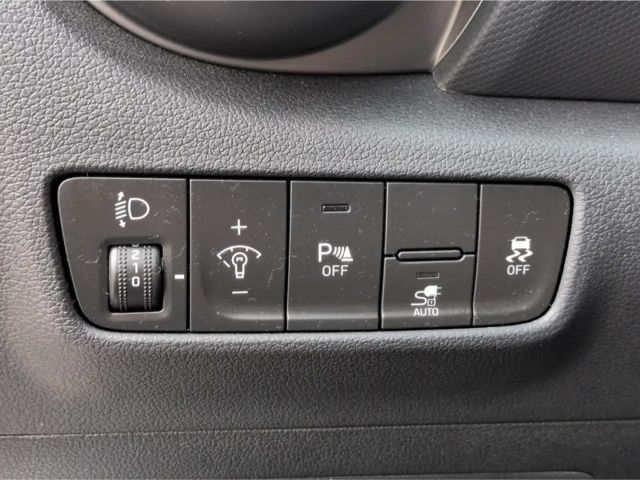 Hyundai Kona Edition 30+*Navi KRELL R-Kam Tempo